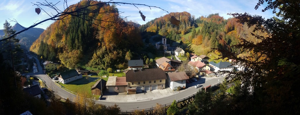 Gemeinde SCHWARZENBACH an der Pielach Die Wurzel im Dirndltal
