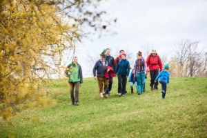 mehrere Wanderer gehen auf einer grünen Wiese an einem gelb blühenden Dirndlstrauch vorbei