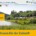Bild mit der Mariazellerbahn und Naturlandschaft